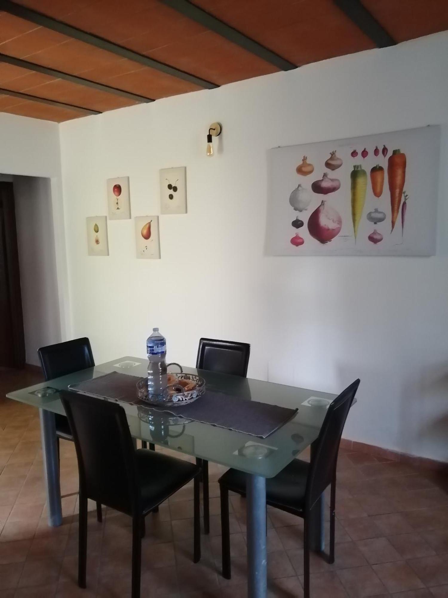 Ferienwohnung A Casa Mia Pisa Exterior foto